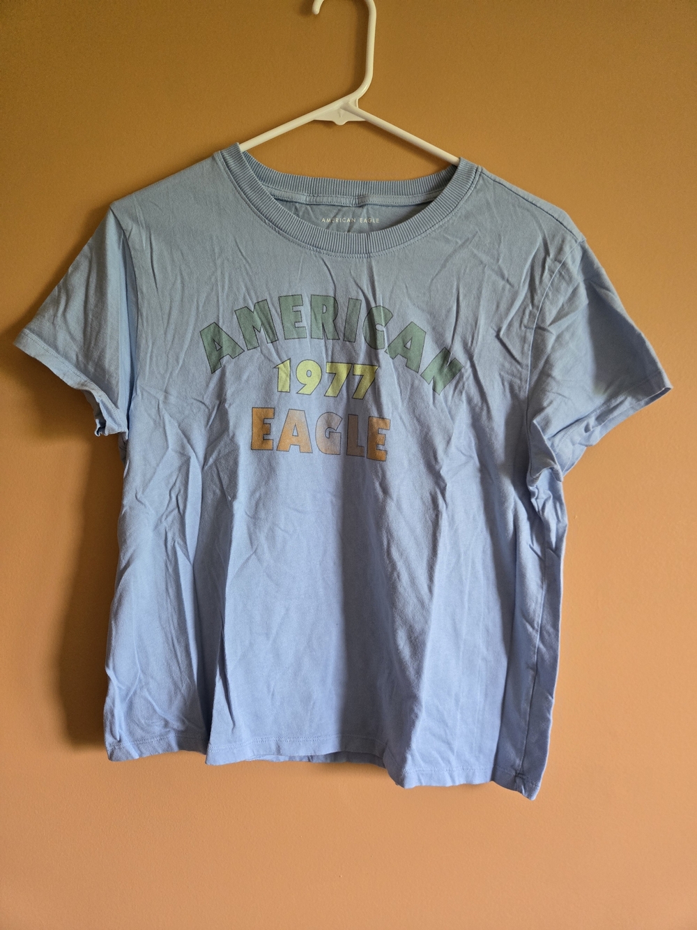 American Eagle Outfitters Light Blue Graphic Tee - 1977 Eagle